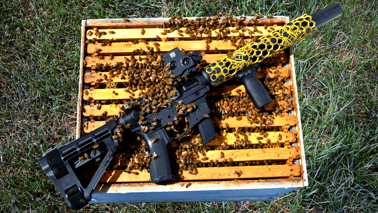 Custom Bee Build, Honey Bee Rifle